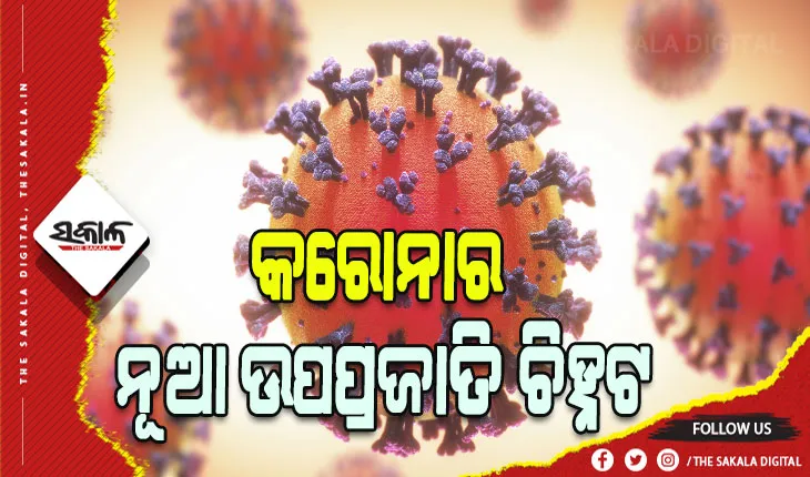 କରୋନାର ନୂଆ ଉପପ୍ରଜାତି ଚିହ୍ନଟ