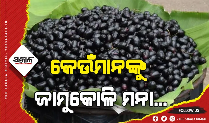 ଜାଣନ୍ତୁ ଅନେକ ରୋଗର ମହୌଷଧି ଜାମୁକୋଳି କେଉଁମାନଙ୍କୁ ଖାଇବା ମନା….