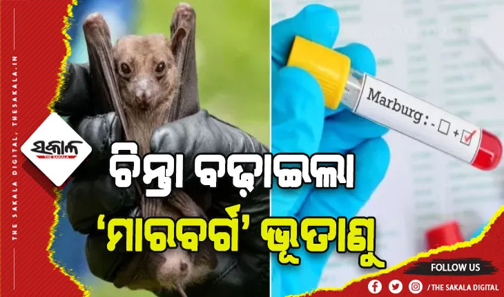 ଚିନ୍ତା ବଢ଼ାଇଲା ‘ମାରବର୍ଗ’ ଭୂତାଣୁ: ଘାନାରେ ୨ ରୋଗୀ ମୃତ, ସଙ୍ଗରୋଧରେ ୯୮ ଅଛନ୍ତି