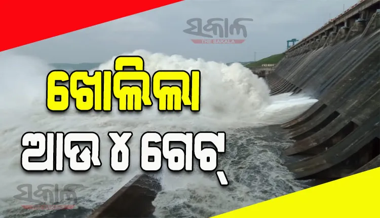 ଖୋଲିଲା ହୀରାକୁଦ ଡ୍ୟାମ୍‍ର ଆଉ ୪ ଗେଟ୍‌, ମୋଟ ୨୪ଟି ଗେଟ୍ ଦେଇ ହେଉଛି ଜଳ ନିଷ୍କାସନ