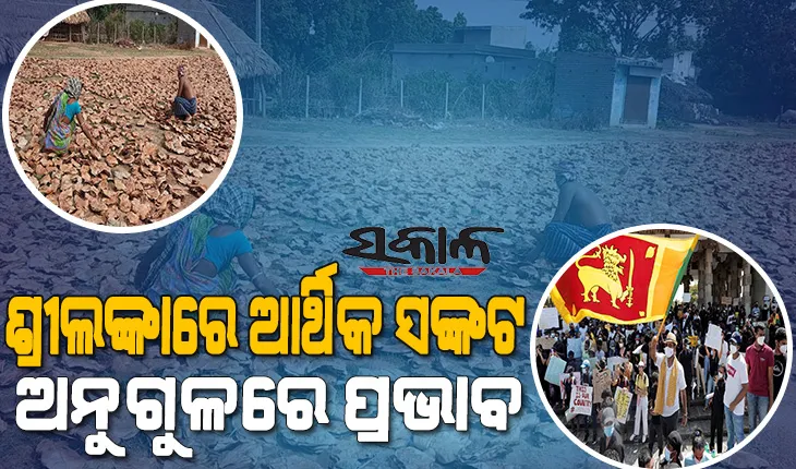 ଶ୍ରୀଲଙ୍କାରେ ଆର୍ଥିକ ସଙ୍କଟର ପ୍ରଭାବ : ବିକ୍ରି ହୋଇନପାରି ଅନୁଗୁଳ ଜିଲ୍ଲାର ବିଭିନ୍ନ ସରକାରୀ ଗୋଦାମରେ ପଡିରହିଛି କୋଟିକୋଟି ଟଙ୍କାର କେନ୍ଦୁପତ୍ର