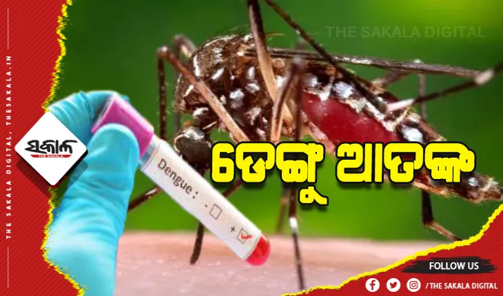 ଡେଙ୍ଗୁ ଆତଙ୍କ: ଖୋର୍ଦ୍ଧାରୁ ଚିହ୍ନଟ ହେଲେ ଆଉ ୪୦ ନୂଆ ଡେଙ୍ଗୁ ରୋଗୀ