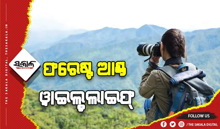 ଫରେଷ୍ଟ ଆଣ୍ଡ ୱାଇଲ୍ଡଲାଇଫରେ କ୍ଯାରିଅର କରିବାକୁ ଚାହୁଁଥିଲେ….