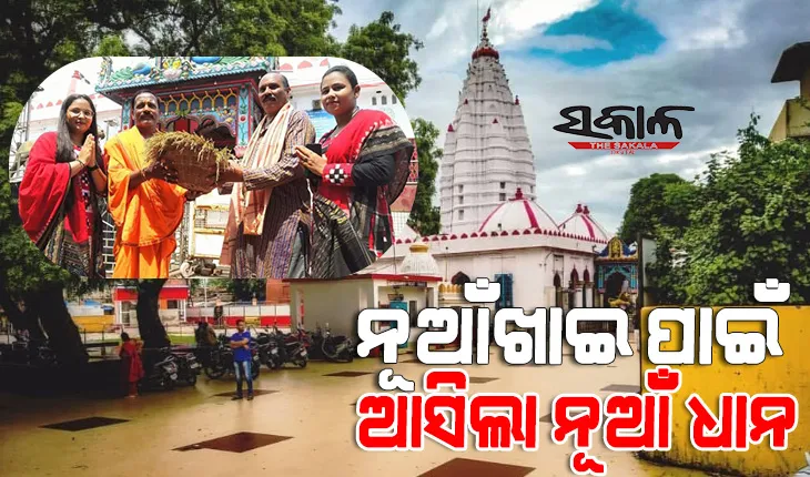 ନୂଆଁଖାଇ ପାଇଁ ମାଁ ସମଲେଶ୍ବରୀଙ୍କ ପୀଠକୁ ଆସିଲା ନୂଆଁ ଧାନ, ସେପ୍ଟେମ୍ବର ପହିଲାରେ ସମସ୍ତେ ଖାଇବେ ନୂଆଁ