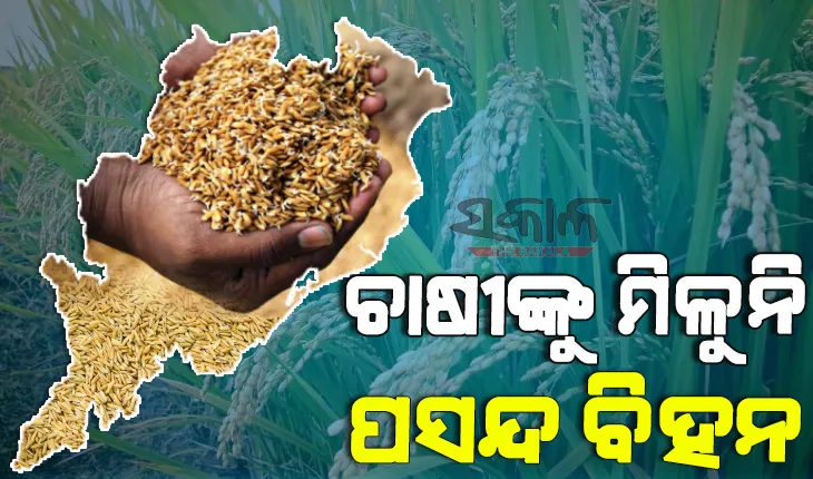 କେନ୍ଦ୍ର ବନ୍ଦ କରିଛି ପୁରୁଣା ବିହନ ରିଆତି, ଚାଷୀଙ୍କ ଉପରେ ଲଦି ଦିଆଯାଉଛି ନୂଆ ବିହନ