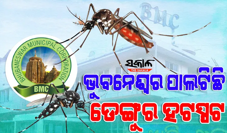 ରାଜଧାନୀରେ ଡେଙ୍ଗୁ ଆତଙ୍କ: ସହରାଞ୍ଚଳରୁ ବସ୍ତିକୁ ବ୍ଯାପିଲା ଡେଙ୍ଗୁ, ସାଲିଆ ସାହିରେ ୧୦୦ପାର କାଲ ଆକ୍ରାନ୍ତଙ୍କ ସଂଖ୍ଯା