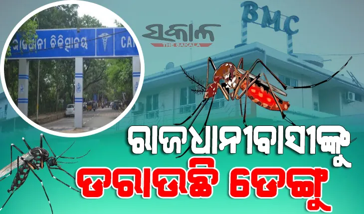 ରାଜଧାନୀରେ ଅଗଷ୍ଟ ମାସ ଠାରୁ ସେପ୍ଟେମ୍ବରରେ ୨ ଗୁଣା ଡେଙ୍ଗୁ ଆକ୍ରାନ୍ତ ଚିହ୍ନଟ