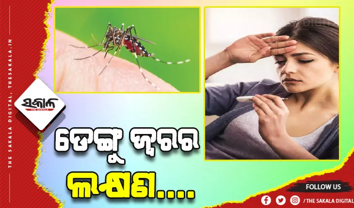 ଜାଣନ୍ତୁ ଡେଙ୍ଗୁ ଜ୍ୱରର ଲକ୍ଷଣ ଓ ଏହାର ନିରାକରଣ….