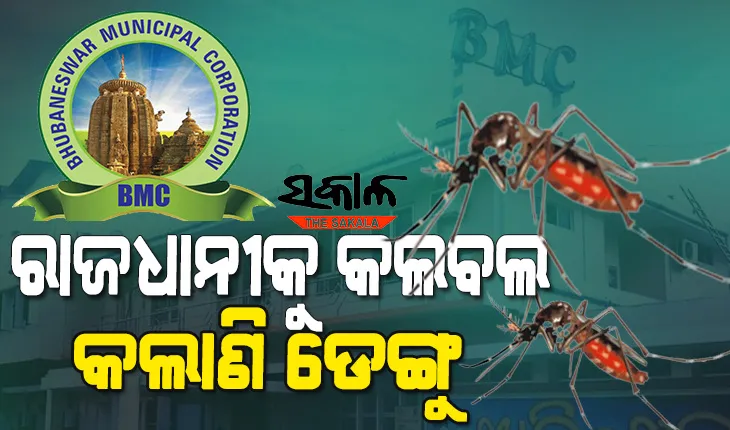 ଭୁବନେଶ୍ବରରେ ନିୟନ୍ତ୍ରଣ ବାହାରେ ଡେଙ୍ଗୁ ସ୍ଥିତି : ବଢୁଛନ୍ତି ରୋଗୀ, ମେଡିକାଲରେ ପ୍ଲେଟଲେଟ୍‍ ଓ ଶଯ୍ୟା ଅଭାବ