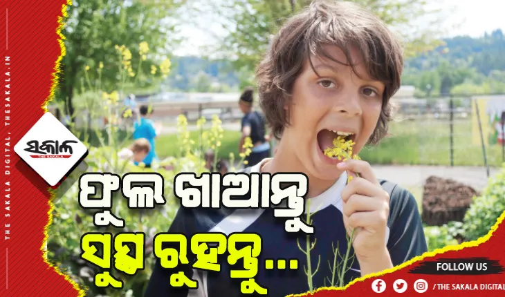 ଜାଣନ୍ତୁ ୫ଟି ଫୁଲର ଔଷଧୀୟ ଗୁଣ….