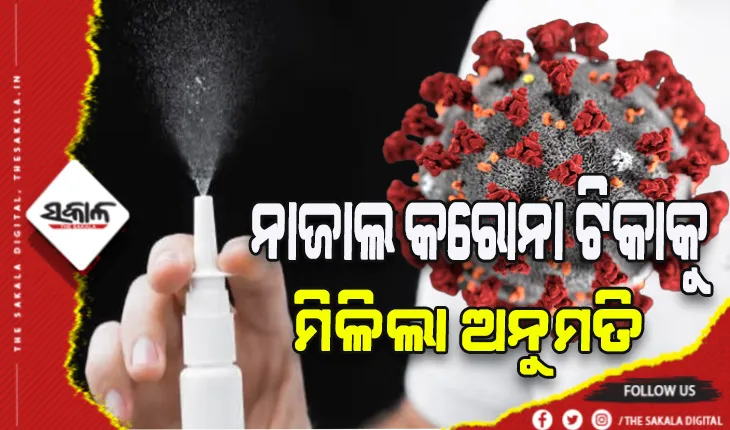 ଭାରତକୁ ଆଉ ଏକ ସଫଳତା, ନାଜାଲ କରୋନା ଟିକାକୁ ମିଳିଲା ମଞ୍ଜୁରୀ