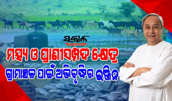 ମତ୍ସ୍ୟ ଓ ପଶୁସମ୍ପଦ ବିକାଶ ବିଭାଗରେ ୮୦୪ କର୍ମଚାରୀ ନିଯୁକ୍ତ: ୫ଟି ଉପକ୍ରମ ଅବଲମ୍ବନ କରି ତୃଣମୂଳ ସ୍ତରରେ ପରିବର୍ତ୍ତନ ପାଇଁ କାମ କରିବାରୁ ମୁଖ୍ଯମନ୍ତ୍ରୀଙ୍କ ପରାମର୍ଶ