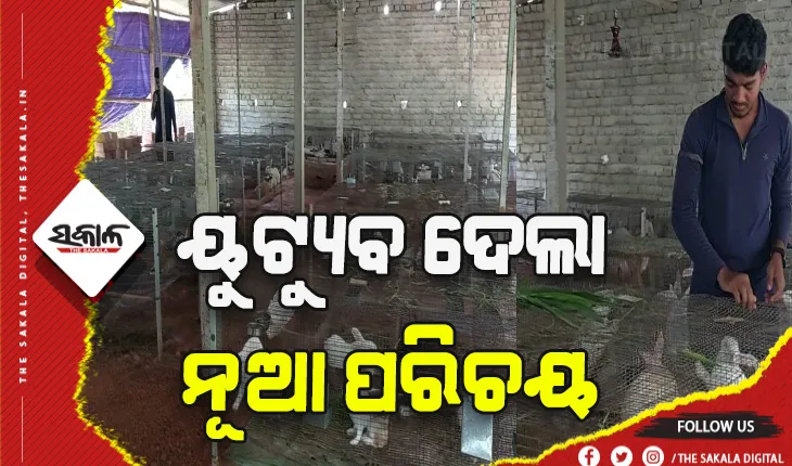 ୟୁଟ୍ୟୁବ ଦେଲା ଓମ ପ୍ରକାଶଙ୍କୁ ନୂଆ ପରିଚୟ:  ଠେକୁଆ ଚାଷ କରି ଯୁବ ସମାଜ ପାଇଁ ସାଜିଲେ ଉଦାହରଣ