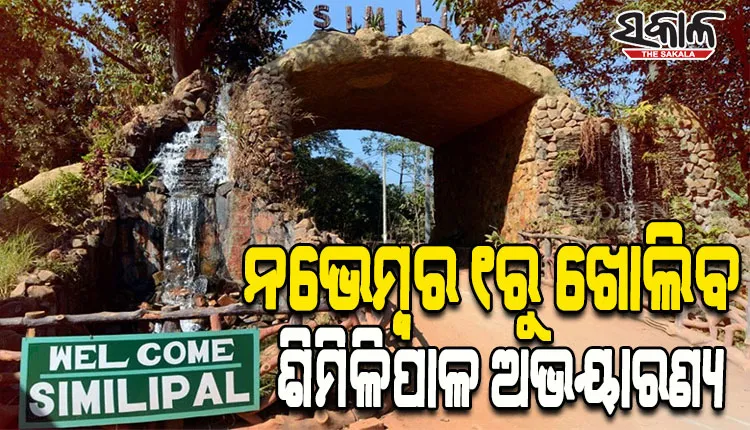 ନଭେମ୍ବର ପହିଲାରୁ ଖୋଲିବ ଶିମିଳିପାଳ: ଦୈନିକ ୬୦ଟି ଗାଡ଼ିକୁ ପ୍ରବେଶ ଅନୁମତି