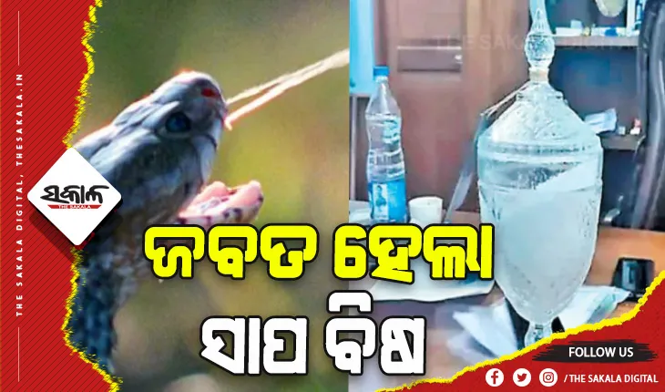 ପୁଣି ସାପ ବିଷ ତସ୍କରୀ: ୩୦ କୋଟିର ସାପ ବିଷ ଜବତ
