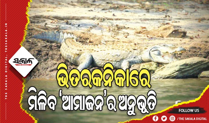 ଆକର୍ଷଣ ସାଜିବ ଭିତରକନିକା ଇକୋ ରିଟ୍ରିଟ୍‍, ମିଳିବ ‘ଆମାଜନ’ର ଅନୁଭୂତି