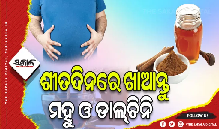 ଶୀତଦିନରେ ଖାଆନ୍ତୁ ମହୁ ଓ ଡାଲ୍‌ଚିନି: କମିବ ଚର୍ବି, ବୃଦ୍ଧି ହେବ ରୋଗପ୍ରତିରୋଧକ ଶକ୍ତି