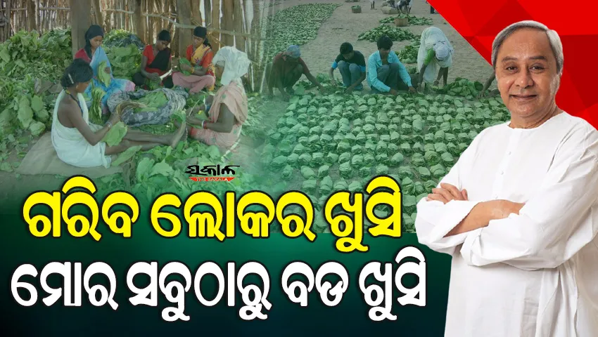 କେନ୍ଦୁପତ୍ର କର୍ମଚାରୀଙ୍କୁ ମିଳିଲା ସହାୟତା, ହିତାଧିକାରୀଙ୍କ ଖାତାକୁ ଗଲା ୪୩ କୋଟି ଟଙ୍କା