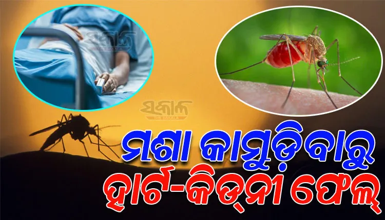 ମଶା କାମୁଡ଼ିବାରୁ ୪ ସପ୍ତାହ କୋମାରେ ରହିଲେ ରୋଗୀ; ୩୦ ଅସ୍ତ୍ରୋପଚାର ପରେ ବଞ୍ଚିଲା ଜୀବନ