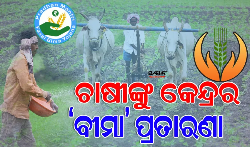 ଶୋଷଣର ମାଧ୍ୟମ ପାଲଟିଛି ପ୍ରଧାନମନ୍ତ୍ରୀ ଫସଲ ବୀମା : ପଶ୍ଚିମ ଓଡ଼ିଶାର ଚାଷୀ ଏବେ ବି ପାଇ ନାହାନ୍ତି ୫୦୦ କୋଟି ବୀମା ରାଶି