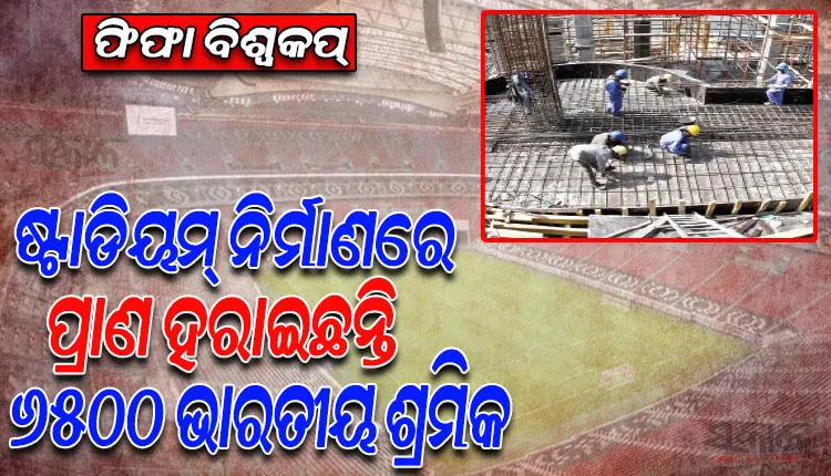 କତାରରେ ଫୁଟବଲ୍ ବିଶ୍ବକପ୍ ଷ୍ଟାଡିୟମ୍ ନିର୍ମାଣରେ ପ୍ରାଣ ହରାଇଛନ୍ତି ୬ ହଜାର ୫୦୦ ଭାରତୀୟ ଶ୍ରମିକ !