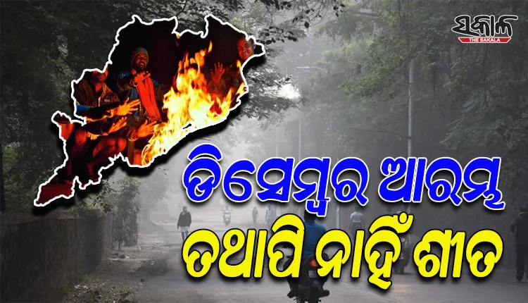 ଡିସେମ୍ବର ମାସ ଆରମ୍ଭ ପରେ ବି ରାଜ୍ୟରେ ବଢ଼ୁନାହିଁ ଶୀତ ପ୍ରକୋପ, ସାମୁଦ୍ରିକ ପ୍ରଭାବରୁ ଆର୍ଦ୍ରତା ବୃଦ୍ଧି