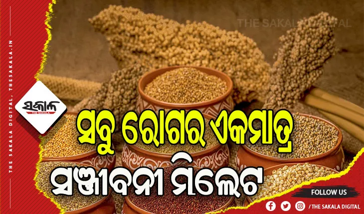 ନିୟମିତ ମିଲେଟ ଜାତୀୟ ଖାଦ୍ୟ ଖାଇଲେ ବଡ଼ ବଡ଼ ରୋଗ ବି ଶରୀରର ପାଖ ମାଡ଼ି ନ ଥାଏ- ଡ. ବଲି