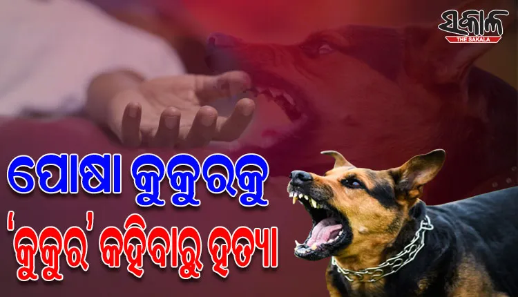 ତାମିଲ୍‌ନାଡୁ ଡିଣ୍ଡିଗୁଲ ଜିଲ୍ଲାରେ ଚାଞ୍ଚଲ୍ୟ; ପୋଷା କୁକୁରକୁ ‘କୁକୁର’ କହିବାରୁ ହତ୍ୟା