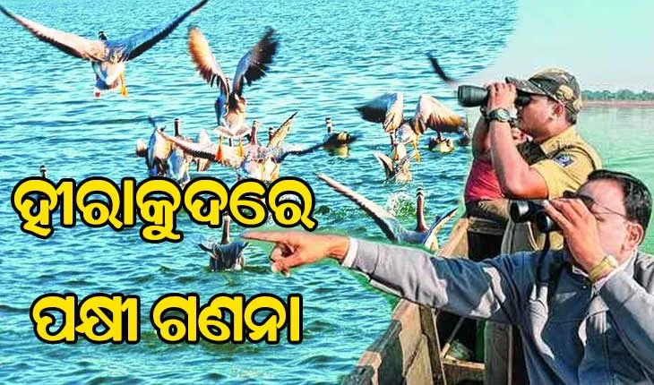 ଆଜିଠୁ ହୀରାକୁଦ ଜଳ ଭଣ୍ଡାରରେ ପକ୍ଷୀ ଗଣନା ଆରମ୍ଭ