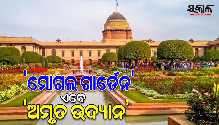 ବଦଳିଲା ରାଷ୍ଟ୍ରପତି ଭବନରେ ଥିବା ‘ମୋଗଲ ଗାର୍ଡେନ’ର ନାମ; ଥିଲା ‘ମୋଗଲ ଗାର୍ଡେନ’ ହେଲା ‘ଅମୃତ ଉଦ୍ୟାନ’