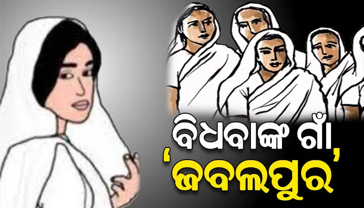 ବୌଦ୍ଧ ଜିଲ୍ଲା ହରଭଙ୍ଗା ବ୍ଲକର ଅଭିଶପ୍ତ ଗାଁ ‘ଜବଲପୁର’; ଯେଉଁ ଗାଁର ୨୮ଟି ପରିବାରରେ ଅଛନ୍ତି ୩୦ ଜଣ ବିଧବା