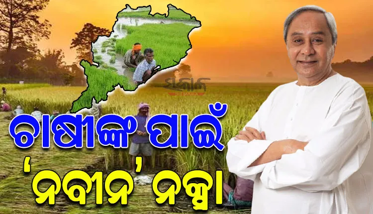 ଚାଷୀଙ୍କ ହିତ ପାଇଁ ରାଜ୍ୟ ସରକାର ପ୍ରସ୍ତୁତ କରିବେ ନୂଆ ନକ୍ସା; ବିଏସ୍‌‌କେୱାଇ ଢାଞ୍ଚାରେ ଆସିପାରେ ଫସଲ କ୍ଷତିଭରଣା ନୀତି