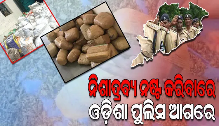 ମାଲ୍‌‌ଖାନାରେ ପଡ଼ି ରହିଥିବା ଗଞ୍ଜେଇ ବସ୍ତାକୁ ନଷ୍ଟ କରିବାରେ ଓଡ଼ିଶା ପୁଲିସ ଆଗରେ, ମୋଟ ୯୫୦ କୁଇଣ୍ଟାଲ ଗଞ୍ଜେଇ ନଷ୍ଟ