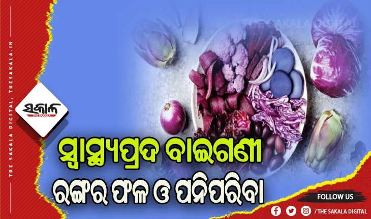 ସ୍ବାସ୍ଥ୍ୟ ପ୍ରତି ଲାଭଦାୟକ ବାଇଗଣୀ ରଙ୍ଗର ଫଳ ଓ ପନିପରିବା….