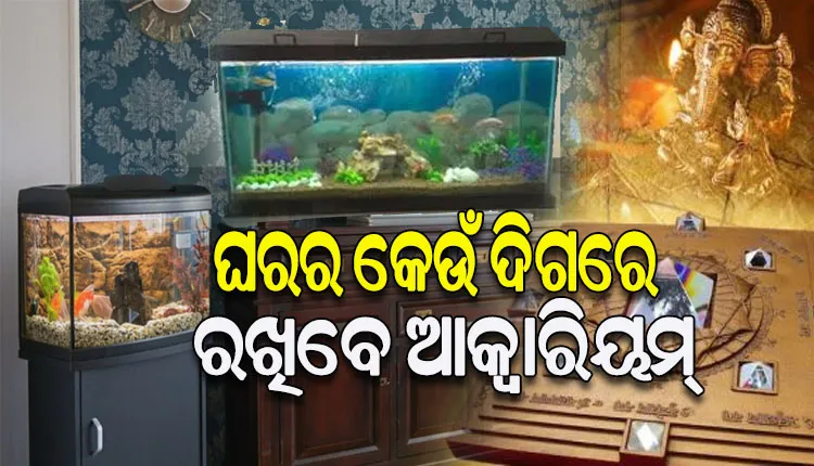 ଘରର ଏହି ଦିଗରେ ରଖନ୍ତୁ ଆକ୍ବାରିୟମ୍‌, ଐଶ୍ୱର୍ଯ୍ୟ ବୃଦ୍ଧି ହେବା ସହ ବଢ଼ିବ ଘରର ସୌନ୍ଦର୍ଯ୍ୟ…