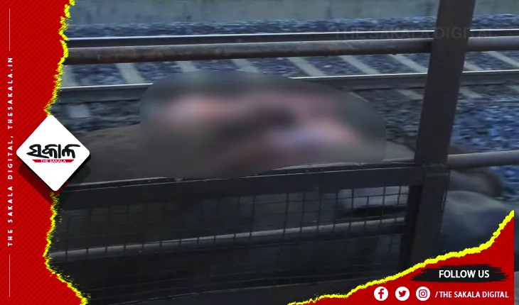 ଟ୍ରେନ୍‌‌ ଧକ୍କାରେ ଦନ୍ତା ହାତୀର ମୃତ୍ୟୁ