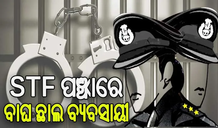 STF ପଞ୍ଝାରେ ବାଘ ଛାଲ ବ୍ୟବସାୟୀ, ଡିଲ୍ ଚାଲିଥିବା ବେଳେ ଦୁଇ ବେପାରୀ ଗିରଫ