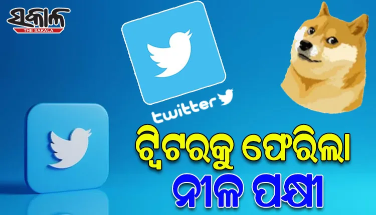 ପୁଣି ବଦଳିଲା ଟ୍ବିଟର ଲୋଗୋ: ହଟିଲା ‘ଡଗି’ ଫେରିଲା ‘ନୀଳ ପକ୍ଷୀ’