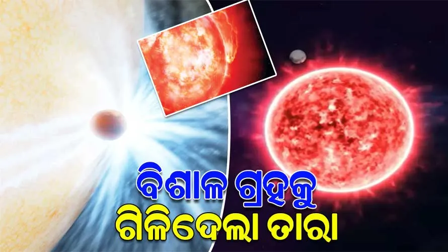 ମହାକାଶର ଅଦ୍ଭୂତ ଦୃଶ୍ୟ ରେକର୍ଡ କଲେ ବୈଜ୍ଞାନିକ; ବୃହସ୍ପତି ଆକାରର ବିଶାଳ ଗ୍ରହକୁ ଗିଳିଦେଲା ତାରା