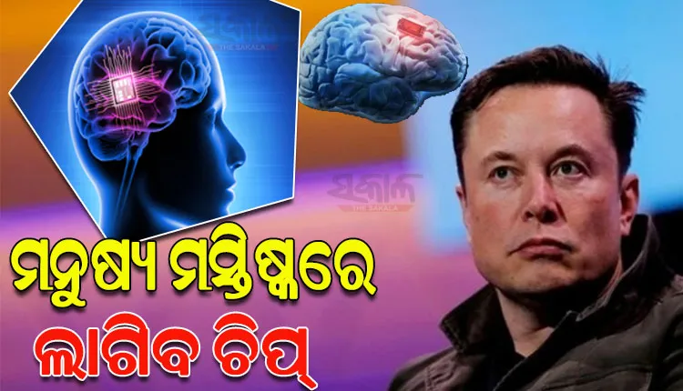 ମସ୍କଙ୍କ ନୂଆ ପ୍ରୟାସ: ଖୁବ୍‌ଶୀଘ୍ର ମନୁଷ୍ୟ ମସ୍ତିଷ୍କରେ ଲାଗିବ ଚିପ୍‌, ଦେଖିପାରିବେ ଦୃଷ୍ଟିହୀନ ବ୍ୟକ୍ତି