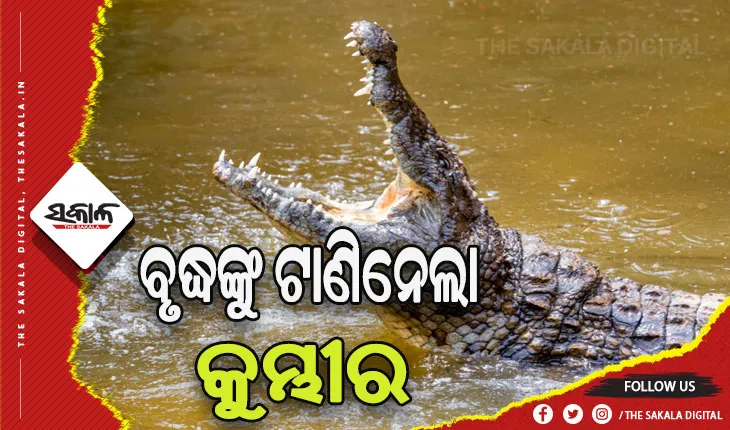 ଶୌଚ ହେବାକୁ ଯାଇଥିବାବେଳେ ବୃଦ୍ଧଙ୍କୁ ଟାଣି ନେଲା କୁମ୍ଭୀର