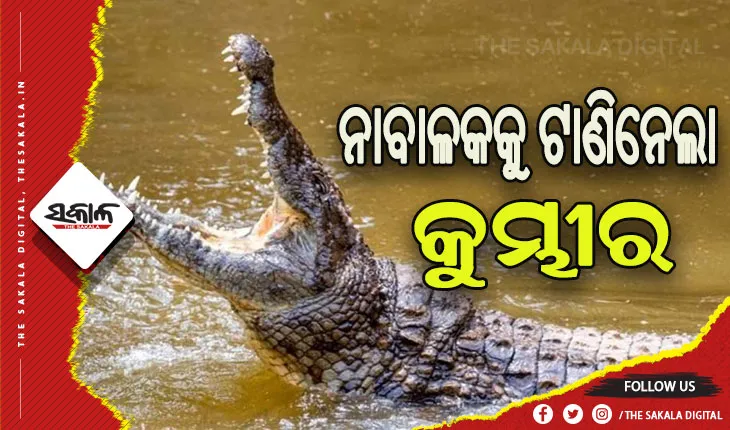 ନଦୀରେ ଗାଧୋଉଥିବାବେଳେ ନାବାଳକକୁ ଟାଣିନେଲା କୁମ୍ଭୀର
