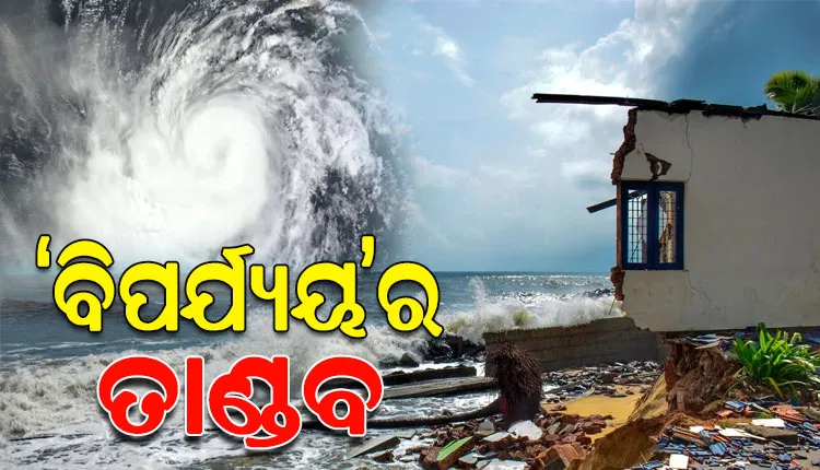 ସ୍ଥଳଭାଗ ଛୁଇଁବା ପରେ ତାଣ୍ଡବ ରଚିଲା ‘ବିପର୍ଯ୍ୟୟ’; ପ୍ରବଳ ବର୍ଷା ଓ ପବନରେ ଭାଙ୍ଗିଲା ବଡ଼ବଡ଼ ଗଛ, ଉପୁଡ଼ିଗଲା ବିଦ୍ୟୁତ ଖୁଣ୍ଟ
