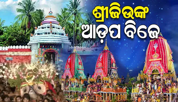 ଗୋଟି ପହଣ୍ଡିରେ ଜନ୍ମବେଦୀକୁ ବିଜେ କଲେ ଶ୍ରୀଜିଉ, ଆସନ୍ତାକାଲିଠୁ ଆଡ଼ପ ମଣ୍ଡପରେ ଦର୍ଶନ ଦେବେ ମହାପ୍ରଭୁ