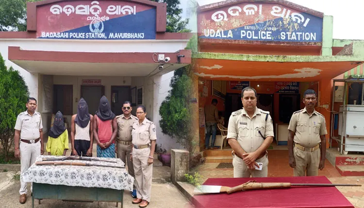 କମ୍ବିଂ ଅପରେସନବେଳେ ଶିମିଳିପାଳ ଅଭୟାରଣ୍ୟ ନିକଟ ଅଞ୍ଚଳରୁ ୩ଟି ବନ୍ଧୁକ ଜବତ, ୩ ଗିରଫ