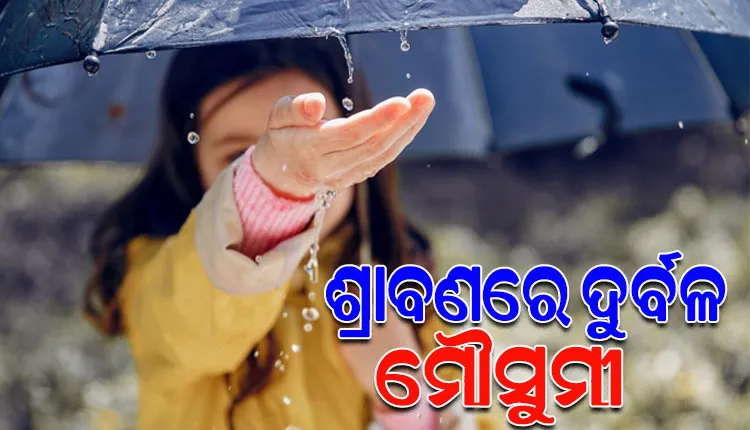 ଶ୍ରାବଣରେ ବୈଶାଖର ତାତି, ଗୁଳୁଗୁଳି ପ୍ରକୋପରେ ଅସ୍ତବ୍ୟସ୍ତ ଜନଜୀବନ