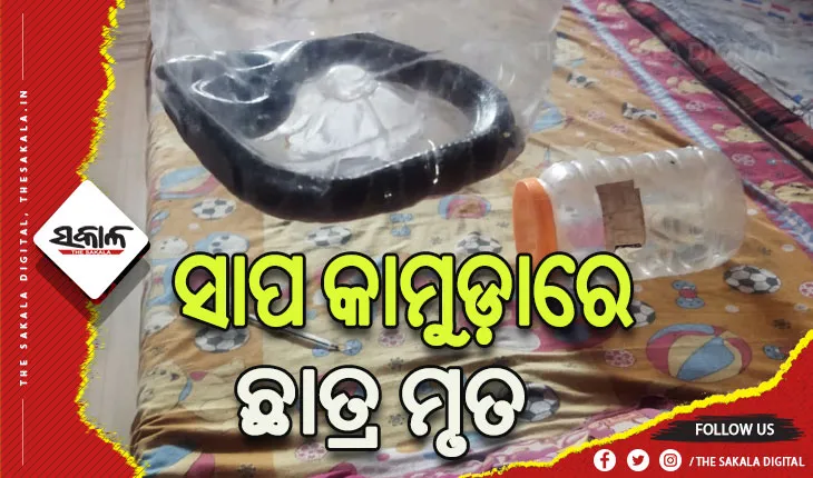 ବିଷାକ୍ତ ସାପ କାମୁଡ଼ାରେ ଜଣେ ଅନ୍ତେବାସୀ ମୃତ, ଆଉ ଜଣେ ଛାତ୍ର ଗୁରୁତର
