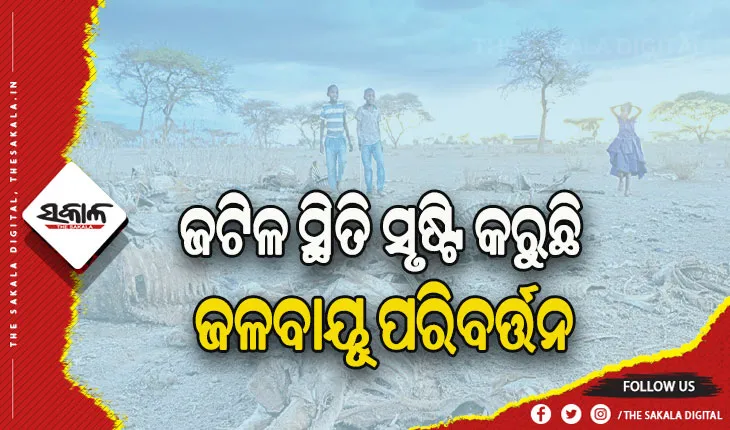 ଜଟିଳ ସ୍ଥିତି ସୃଷ୍ଟି କରୁଛି ଜଳବାୟୂ ପରିବର୍ତ୍ତନ, ତାପମାତ୍ରା ବୃଦ୍ଧି ଯୋଗୁଁ ପଶୁପକ୍ଷୀ ଅବସାଦଗ୍ରସ୍ତ