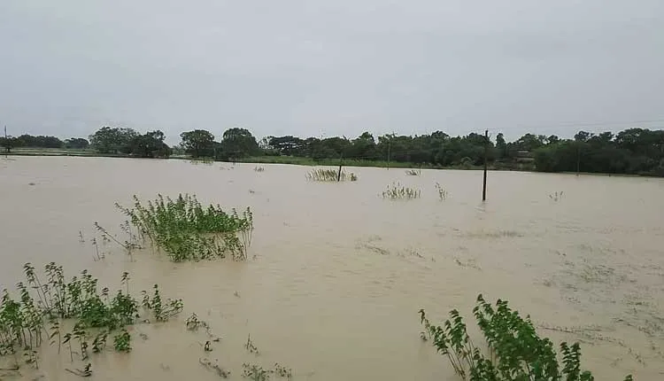 ଭଦ୍ରକରେ ବନ୍ୟା ସ୍ଥିତି ସଙ୍ଗିନ: ବିପଦ ସଙ୍କେତ ଉପରେ ବୈତରଣୀ ଓ ସାଳନ୍ଦୀ, ଉଦ୍ଧାର କାର୍ଯ୍ୟରେ ଏନଡିଆରଏଫ