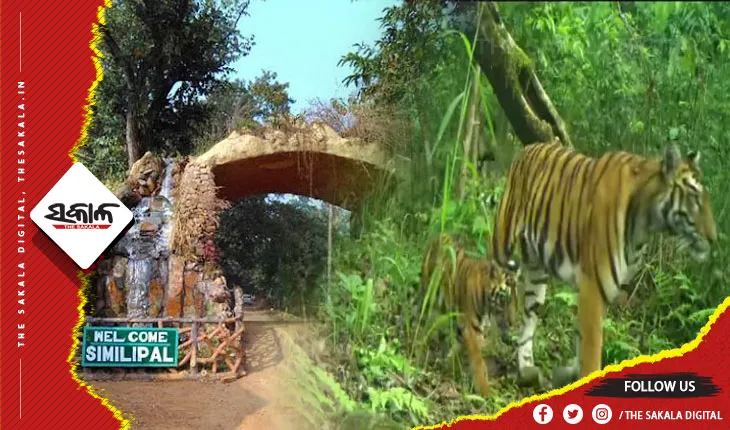 ଶିମିଳିପାଳ ସୁରକ୍ଷା ପାଇଁ ଯୁଗ୍ମ ଟାସ୍କ ଫୋର୍ସ ଗଠିତ